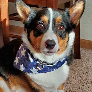 Meet your Posher, Chris